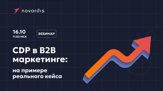 Использование CDP в B2B маркетинге:  на примере реального кейса
