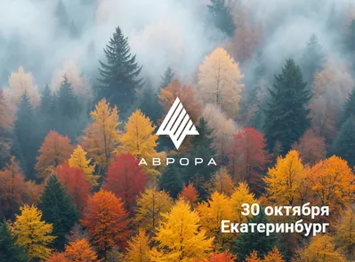 Встреча сообщества ОС Аврора в Екатеринбурге