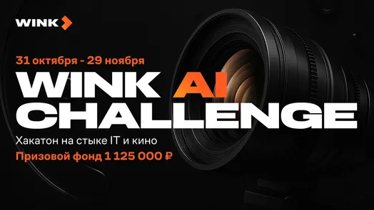Wink AI Challenge