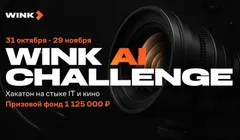 Wink AI Challenge