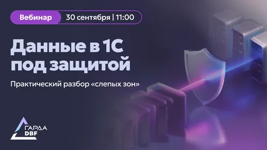 Данные в 1С под защитой Практический разбор «слепых зон»
