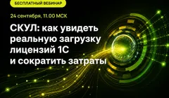 СКУЛ: как увидеть реальную загрузку лицензий 1С и сократить затраты